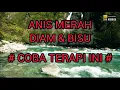 Download Lagu Terapi Burung Anis Merah, Burung Diam Jadi Bunyi.