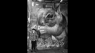 Posh So So  Posh So So