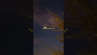 أنت كل حاجه ليا اكسبلور بدون موسيقى Explore حلات Heba لايك حب ترند اغنية حزينة 