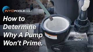 How To Determine Why A Pool Pump Won t Prime