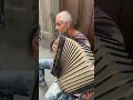 Lagu Solo street accordion player in Florence, Italy #shorts #accordionplayer