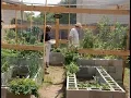 Cinder Block Vegetable Garden Christine and Richard Alcorta Central Texas Gardener