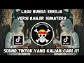 Lagu LAGU BUNGA SEROJA VERSI BANJIR SUMATERA - SOUND VIRAL TIKTOK TERBARU ‼️ 