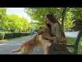 Will My Dogs Recognize Me in Public?