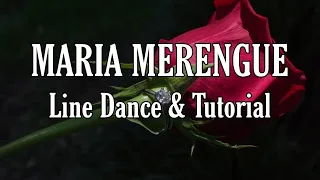 maria merengue line dance dance u0026 tutorial 