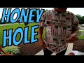 EVERYDAY GARAGE SALE ITEMS THAT ARE WORTH GOOD MONEY