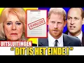 Koningin Camilla uit de koninklijke familie gezet na onthulling van prins Harry