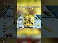Top 10 nastiest SpongeBob close ups