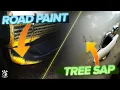 Ultimate Guide to Tree Sap and Road Paint Removal Expert Tips and Tricks for a Pristine Finish