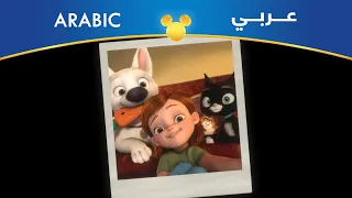 بولت بيتك مهما يكون إعادة مصري 