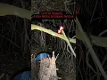 Download Lagu UJI NYALI TERSERAM ..! kena mental wisata mistis di kuburan TRUNYAN #angker #mistis #trunyan