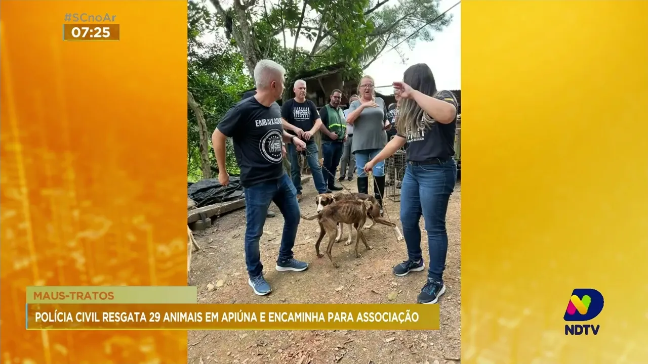 29 animais são resgatados em situação de maus-tratos em Apiúna