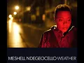 Meshell Ndegeocello - Don't Take My Kindness For Weakness (Audio)