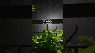 القارئ محمد هشام قرآن كريم مع صوت المطر راحه نفسيه Quran 