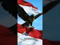 Download Lagu 𝙂𝘼𝙍𝙐𝘿𝘼 𝘿𝙄 𝘿𝘼𝘿𝘼𝙆𝙐 #funyanimals #entertaininganimals #ai #funny #animals #17agustus