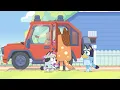 🔴LIVE: Best Bluey Moments of 2024! 🎊 💙 | Bluey