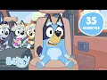 Download Lagu 🔴LIVE: Best Bluey Moments of 2024! 🎊 💙 | Bluey