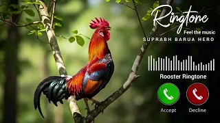 Morning Alarm Ringtone Rooster Ringtone Rooster Sound Effect Mobile phone ringtone Cock