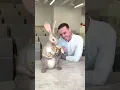 Chocolate Rabbit Happy Lunar New Year