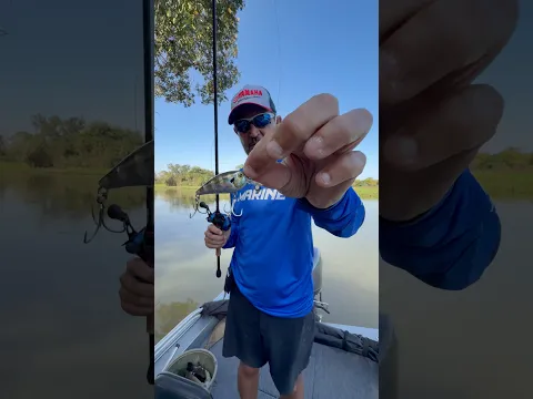 COMO CONSEGUIR ARREMESSAR ISCAS LEVES COM CARRETILHA? #pescaria #johnnyhoffmannoficial #pesca