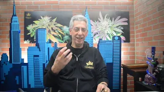 Northern Lights Cannabis Strain Review