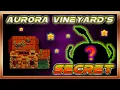 I UNLOCKED Aurora Vineyard s SECRET in Stardew Valley Expanded