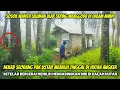 KAGET GAK PERCAYA !! USTAD INI MEMILIH TINGGAL SENDIRIAN TANPA TETANGGA DI RUMAH TENGAH HUTAN ANGKER