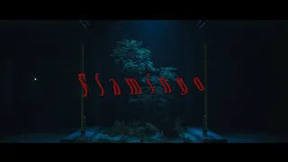 米津玄師 MV「Flamingo」