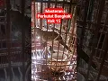 Masteran perkutut bangkok kuk 15 #shorts