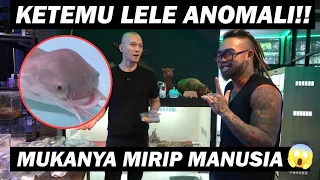 LELE MUKA MANUSIA!! LUCU ATAU SEREM??