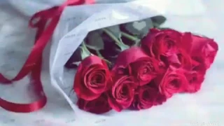 قرآني نبض حياتي بدون ايقاع 