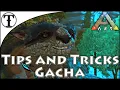 Fast Gacha Taming Guide Ark Survival Evolved Tips and Tricks