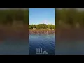 Facebook shows mass of floating trash on Lake Jackson