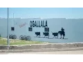 Ogallala NE