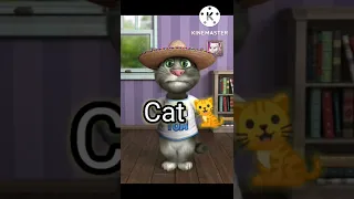 قطة بالانجليزي Cat  قطة بالانجليزي Cat