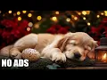 12 Hours of Relaxing Music for Dog Anti-Separation Anxiety Calm Stress Comforting Tunes For Dog