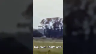 Shapeshifting Creature CAUGHT On Camera Paranormal Caught on Camera Travel Channel