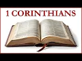 Holy Bible 1 Corinthians 10 ESV with Text