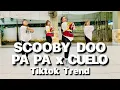 Download Lagu SCOBYDO PA PA X CULO - TIKTOK DANCE TREND REMIX / TEAM BEREGUD DANCE FITNESS