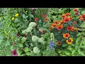 A Shade Garden Full of Color August Garden Tour Part One