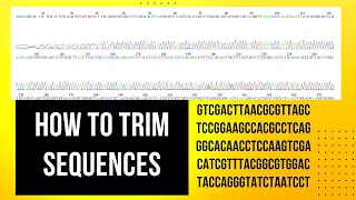 How to Edit Forward and Reverse DNA Sequence Quality Trimming through Bioedit DrMZMumtaz