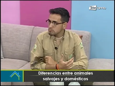 Diferencias entre animales salvajes y domésticos
