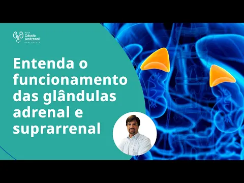 Download MP3 Entenda o funcionamento das glândulas adrenal e suprarrenal | Dr. Cassio Andreoni CRM 78.546