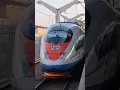 Поездка на высокоскоростном поезде «Сапсан» #train #поезд #поездавидео #railway