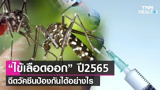 วัคซีนไข้เลือดออกเดงกีช่วยป้องกันโรคได้ดีแค่ไหน และมีประสิทธิภาพต่อสายพันธุ์ไวรัสต่างๆ อย่างไรบ้าง