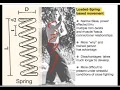 Download Lagu Ba Gua (baguazhang) Real fighting. Real Power TRAILER 1 OF 2