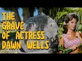 Visiting the Grave of Mary Ann from Gilligan s Island Dawn Wells Final Resting Place