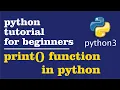 1 - print function in python in