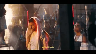 ستينج كينج كل حاجة 