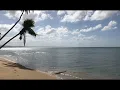 야자수 섬 바다 소리Palm tree island sea sound